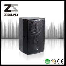 Zsound P15 Pub Rock 15 pulgadas pasiva sistema de refuerzo de altavoces Audio Designer